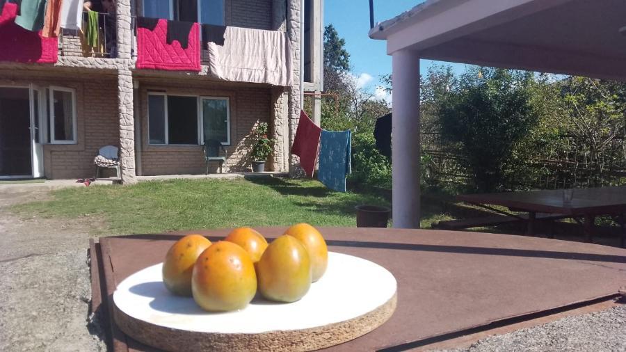 Ok House! 호텔 코불레티 외부 사진